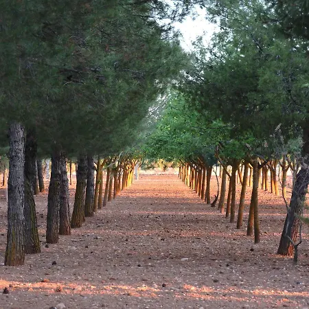 Country house Santa Ana *